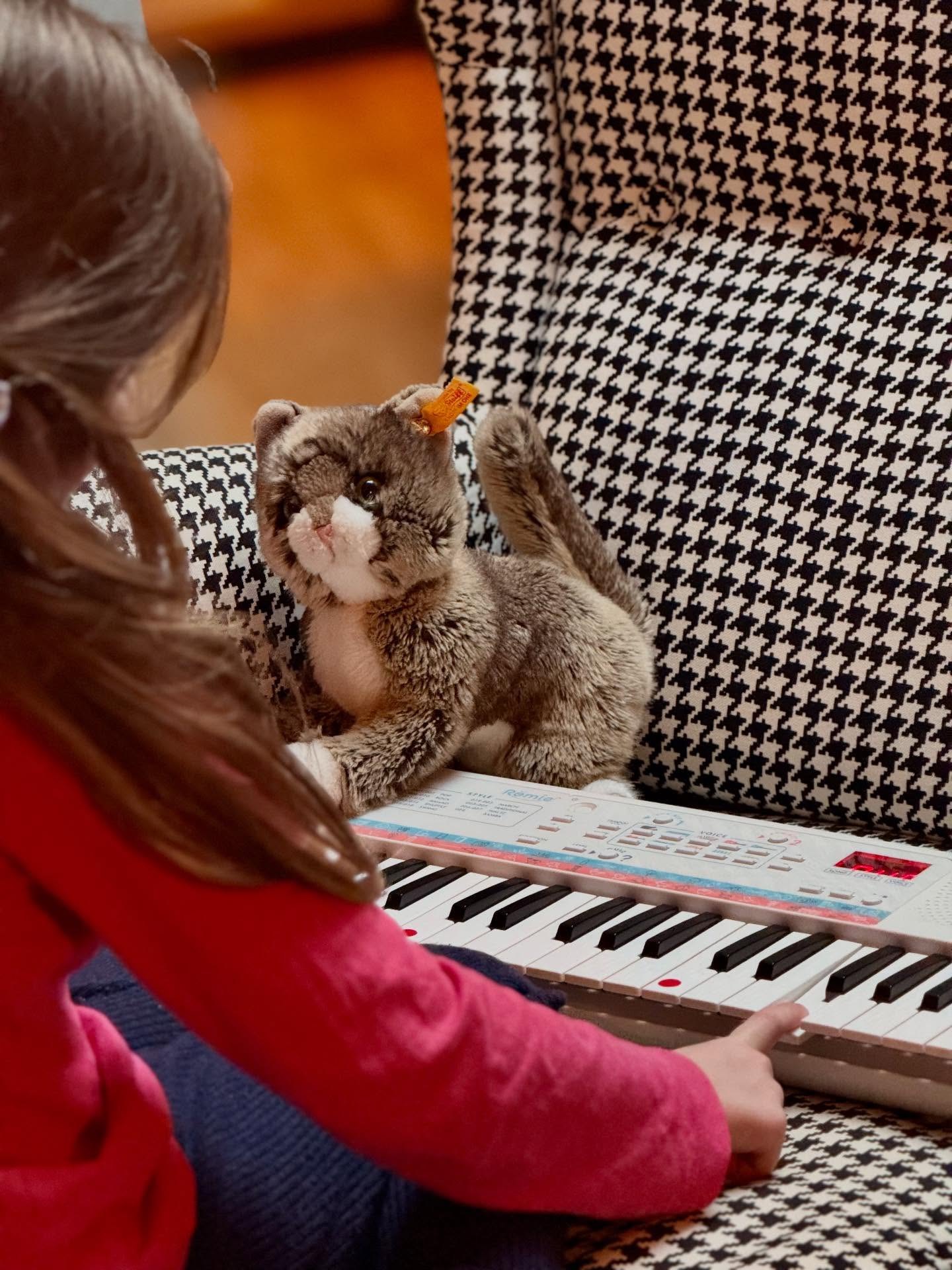 Le chat Franklin veille 🤗🥰😍 #piano #petitefille #chat #peluche #pieddepoule