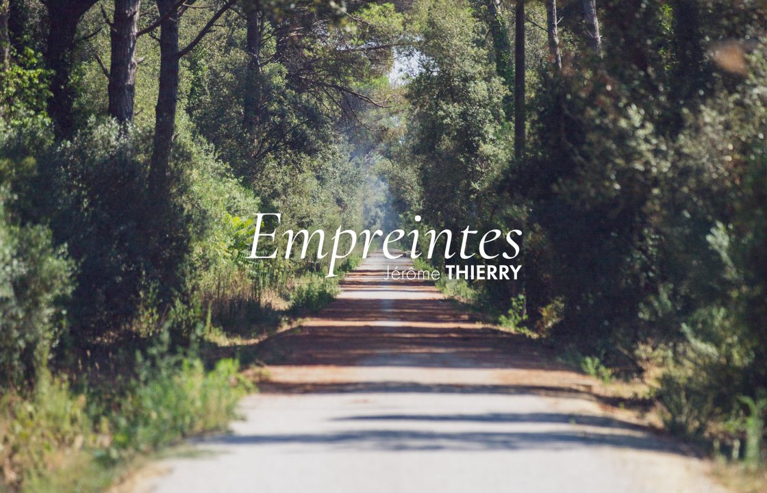 Pochette du single « Empreintes » de Jérôme THIERRY. Un chemin sans fin, bordé d'arbre sous le soleil