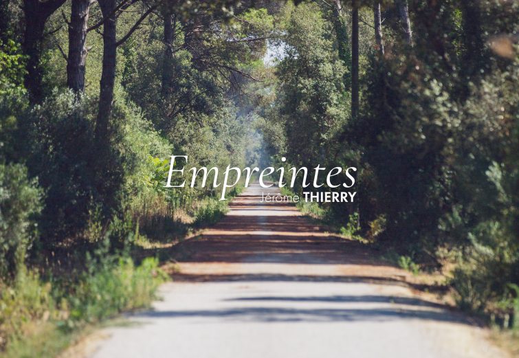 Pochette du single « Empreintes » de Jérôme THIERRY. Un chemin sans fin, bordé d'arbre sous le soleil