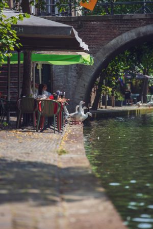 La belle Utrecht
