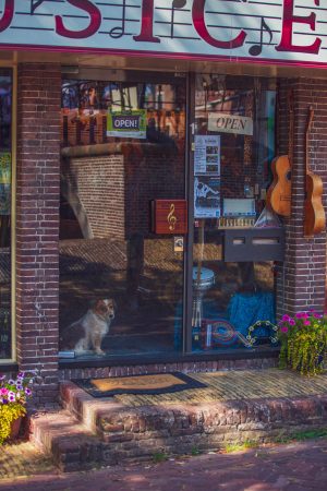 La douceur d'Edam