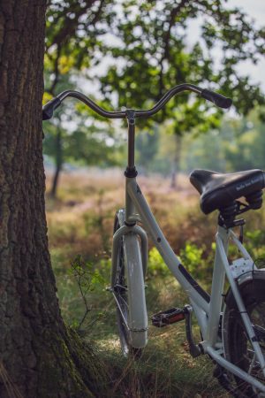 Le parc national du Hoge Veluwe