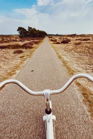 Le parc national du Hoge Veluwe