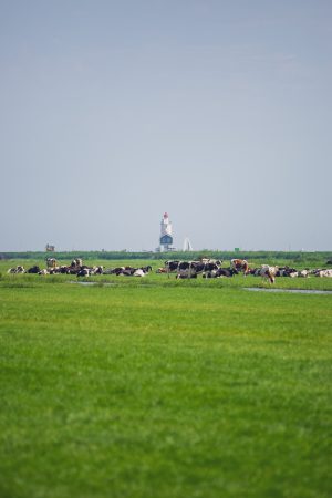 Le charmant village de Marken et son phare