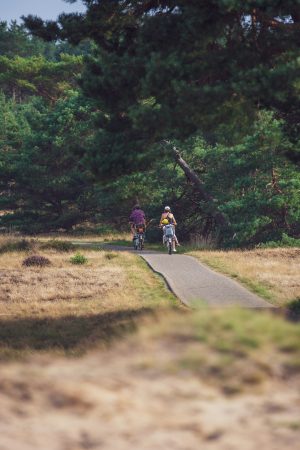 le parc national du Hoge Veluwe